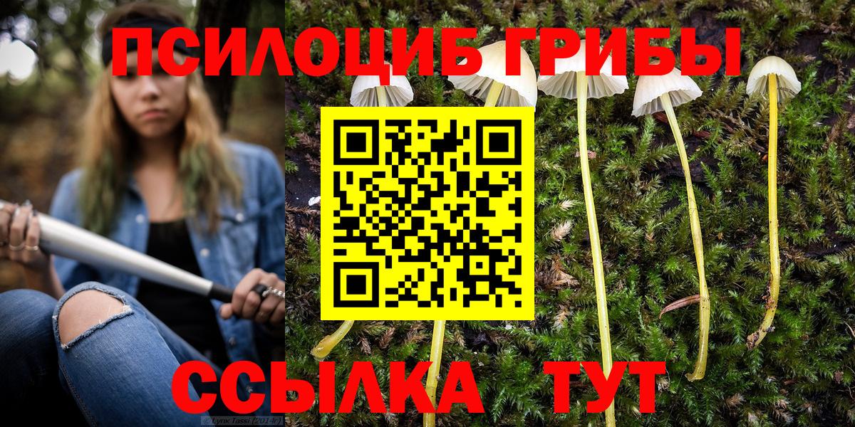 Псилоцибиновые грибы Magic Shrooms Людиново