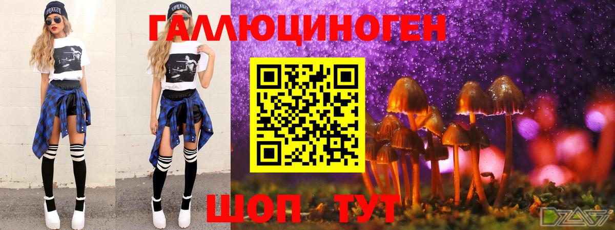 Псилоцибиновые грибы MAGIC MUSHROOMS  Вход с VPN  Людиново 